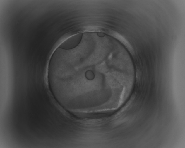 X0000100491378200807111113