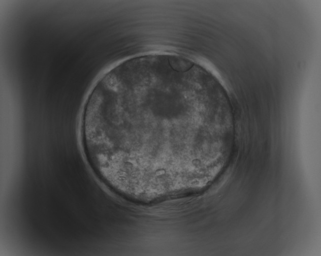 X0000100491379200807111113