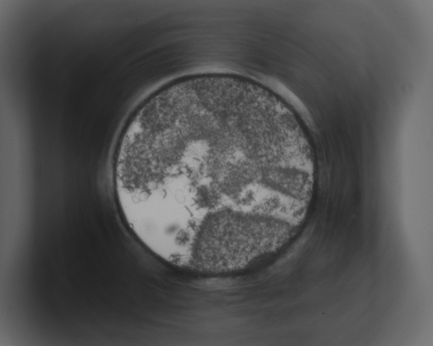 X0000100491380200807111113