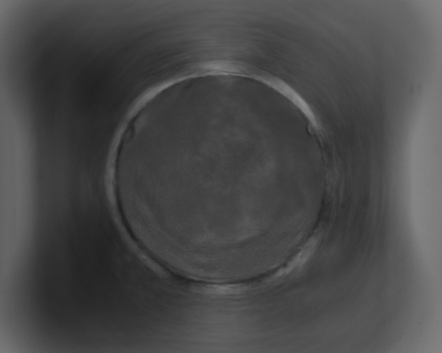 X0000100491381200807111113
