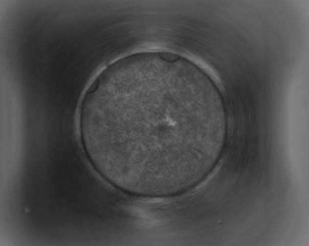 X0000100491382200807111113