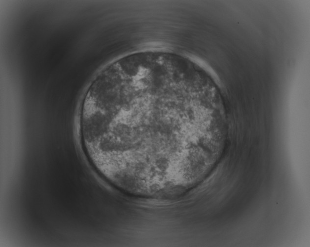 X0000100491383200807111113