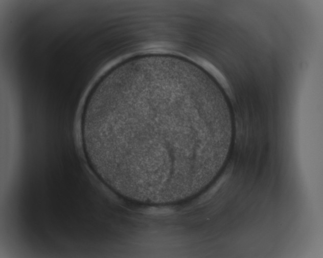 X0000100491384200807111113
