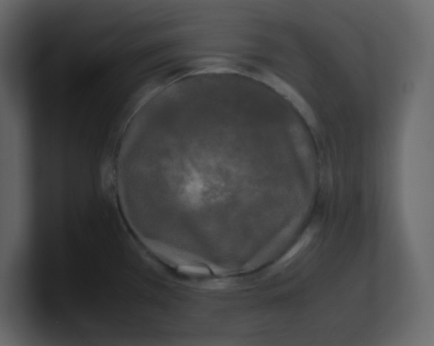 X0000100491385200807111113