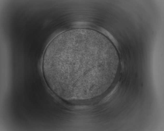 X0000100491386200807111113
