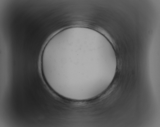 X0000100491387200807111113