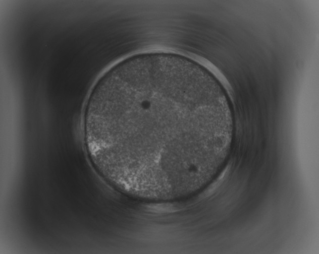 X0000100491388200807111113