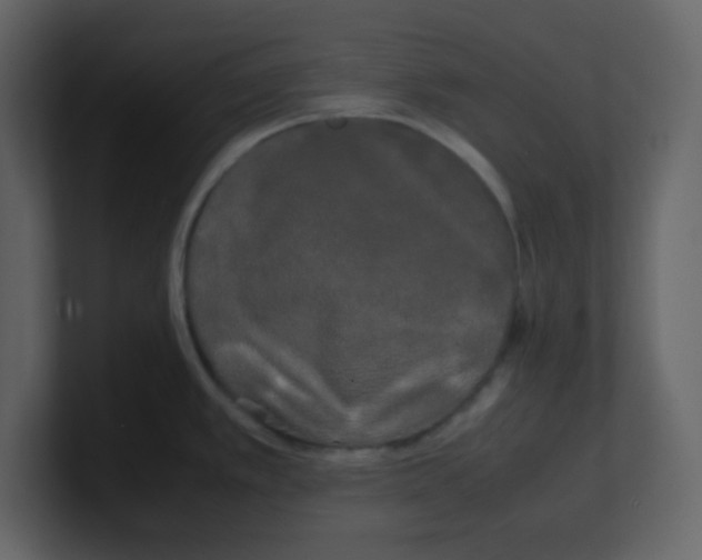 X0000100491389200807111113