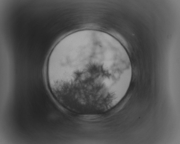 X0000100491391200807111113