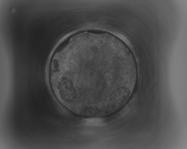X0000100491392200807111113