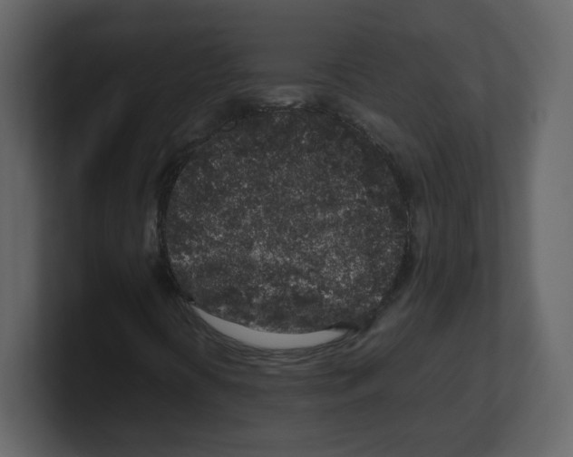 X0000100491394200807111112