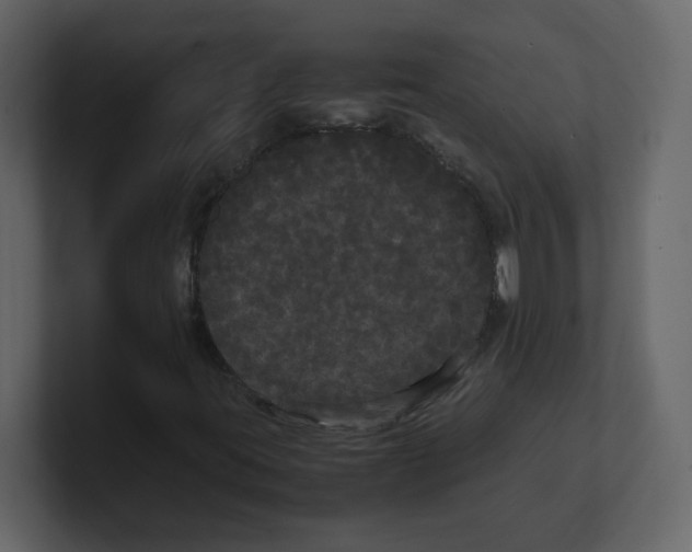X0000100491395200807111112