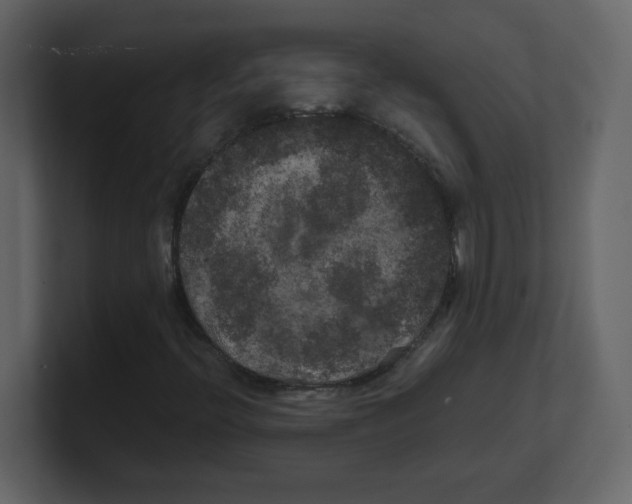X0000100491396200807111112