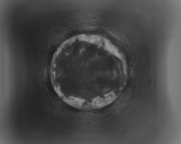 X0000100491397200807111112