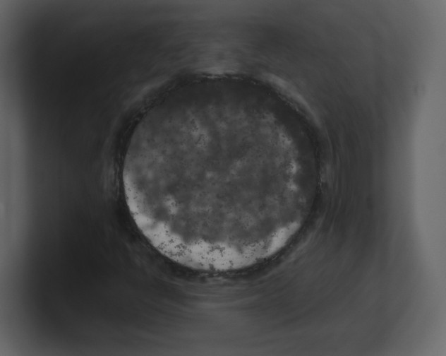 X0000100491398200807111112