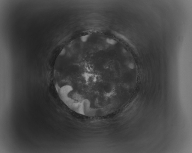 X0000100491399200807111112