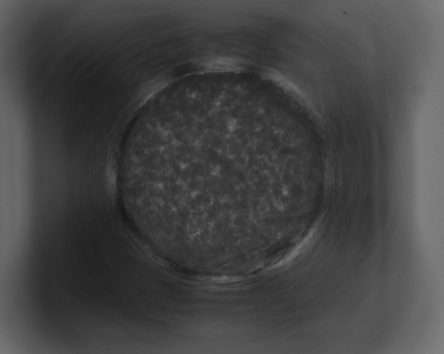 X0000100491401200807111112