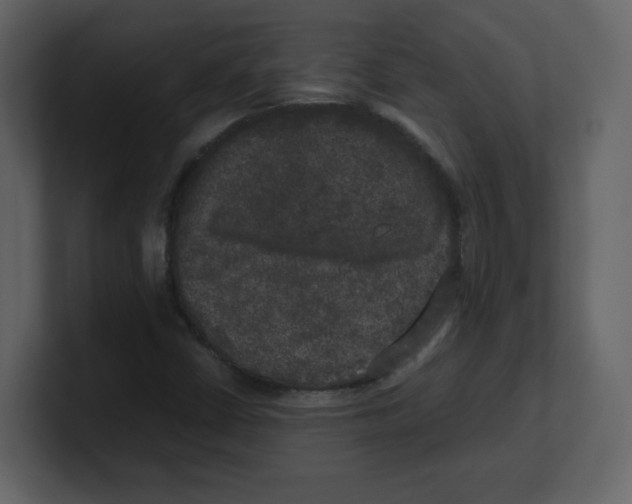 X0000100491402200807111112