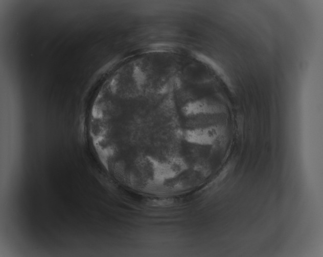 X0000100491403200807111113