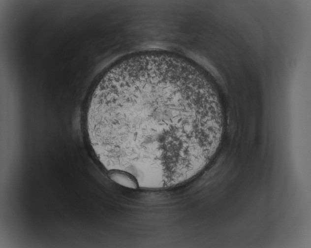 X0000100491404200807111113