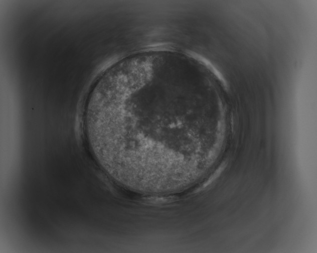 X0000100491405200807111113