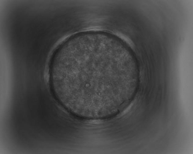 X0000100491406200807111113