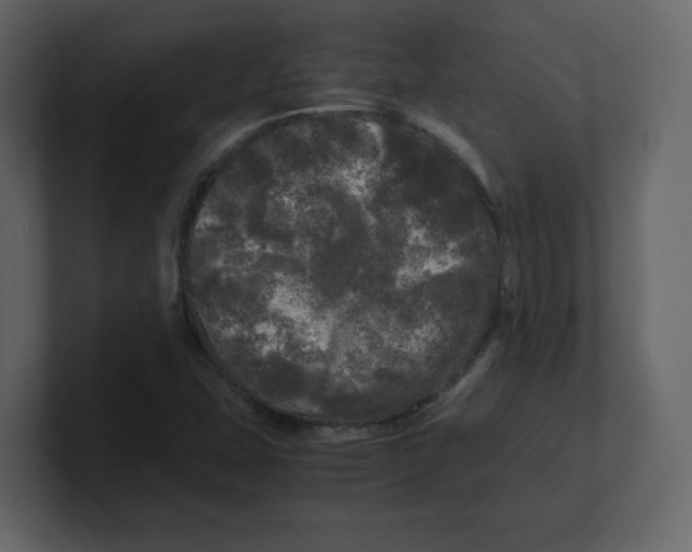 X0000100491407200807111113