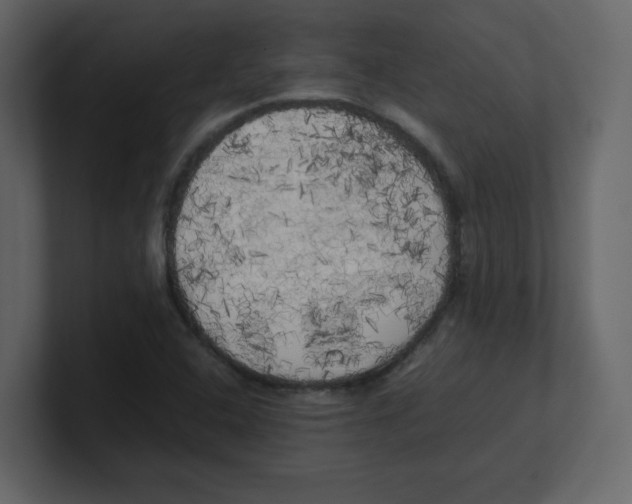X0000100491408200807111113