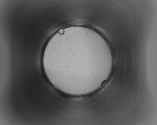 X0000100491410200807111113