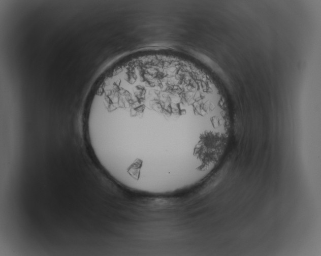 X0000100491412200807111113
