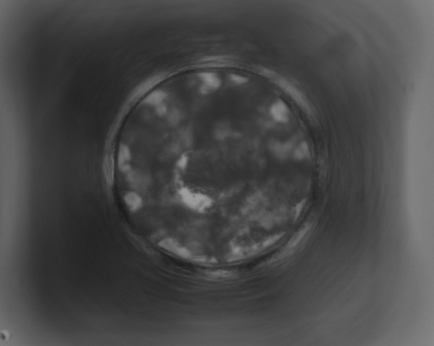 X0000100491413200807111113