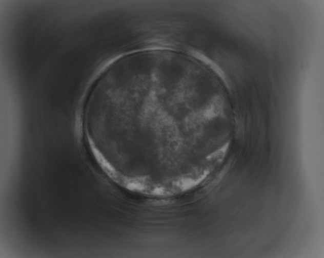 X0000100491415200807111113