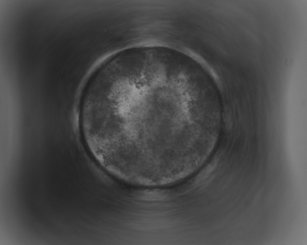 X0000100491416200807111113