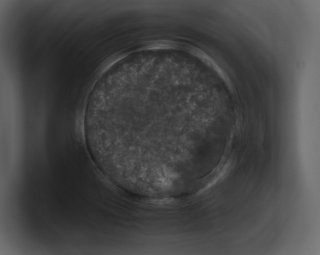 X0000100491417200807111113