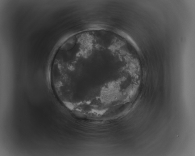 X0000100491419200807111113