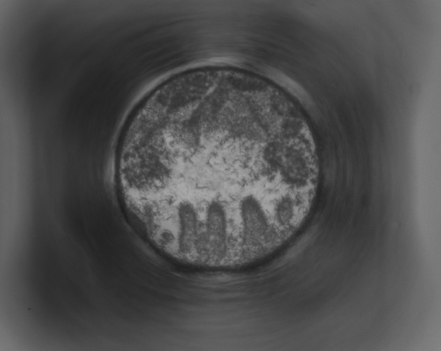 X0000100491420200807111113