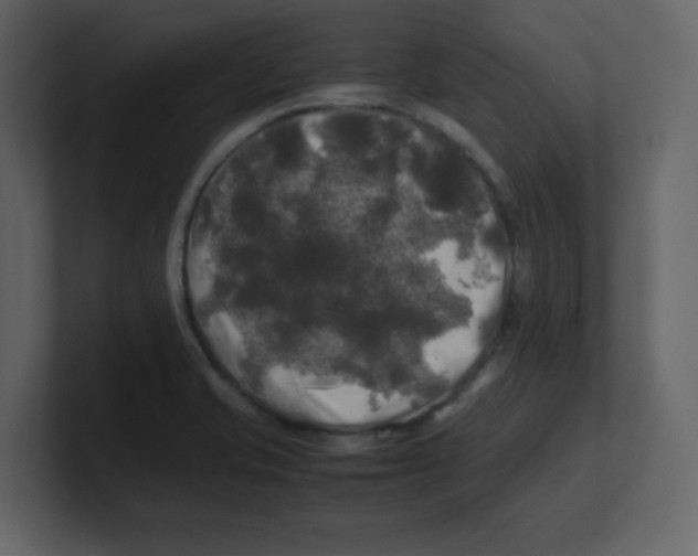 X0000100491421200807111113