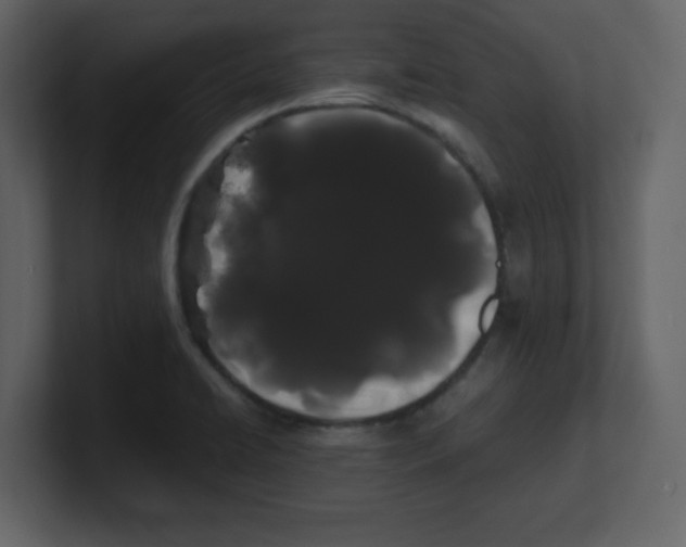 X0000100491422200807111113