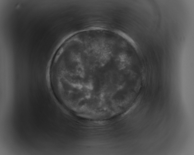 X0000100491423200807111113