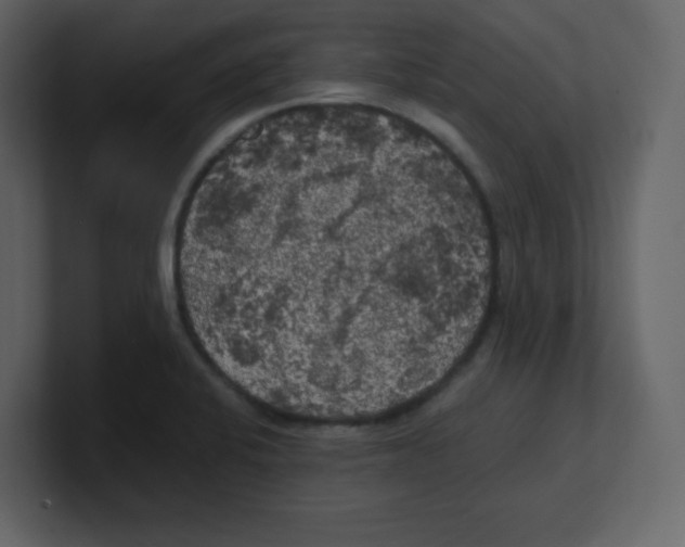 X0000100491424200807111113
