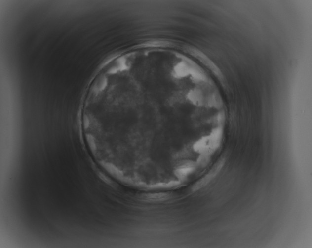 X0000100491425200807111113