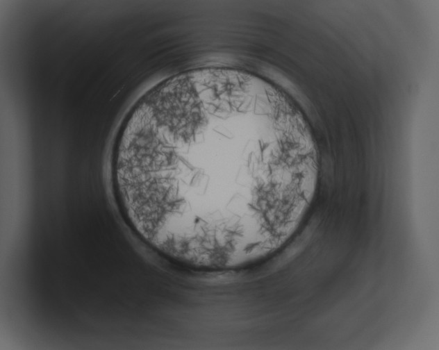 X0000100491426200807111113
