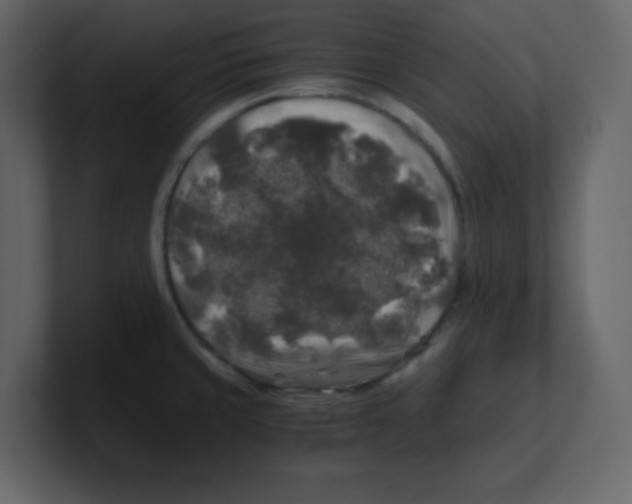 X0000100491429200807111113
