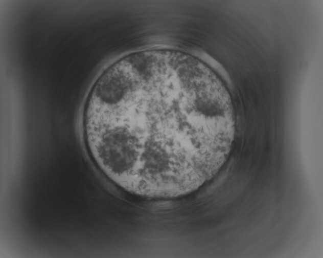 X0000100491431200807111113
