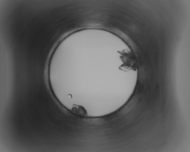 X0000100491432200807111113