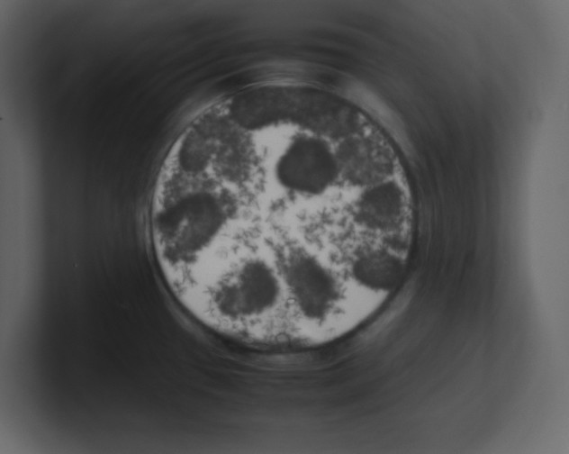 X0000100491433200807111113
