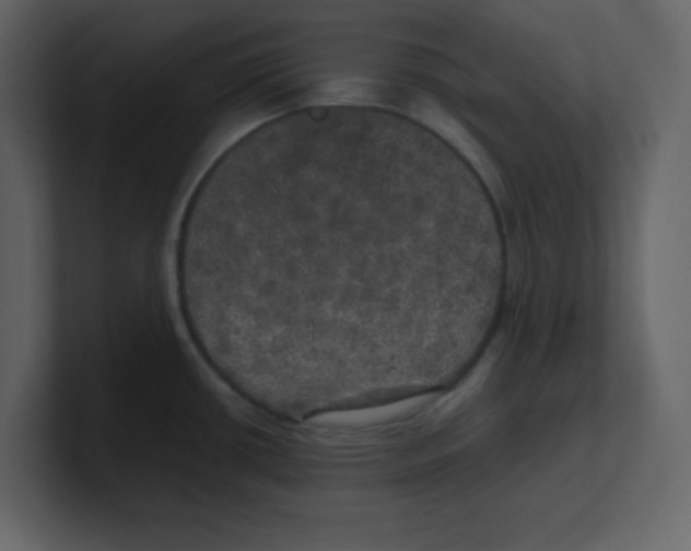 X0000100491434200807111113