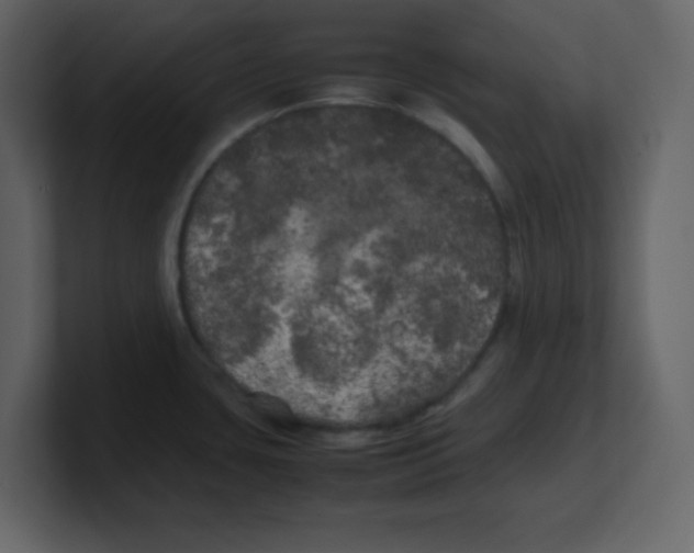 X0000100491435200807111113
