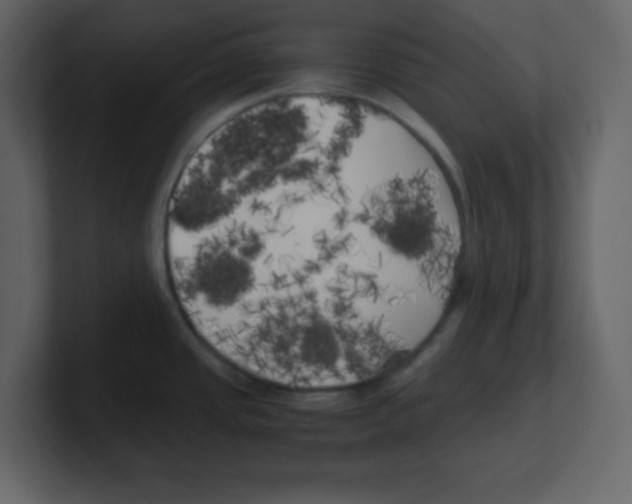 X0000100491437200807111113