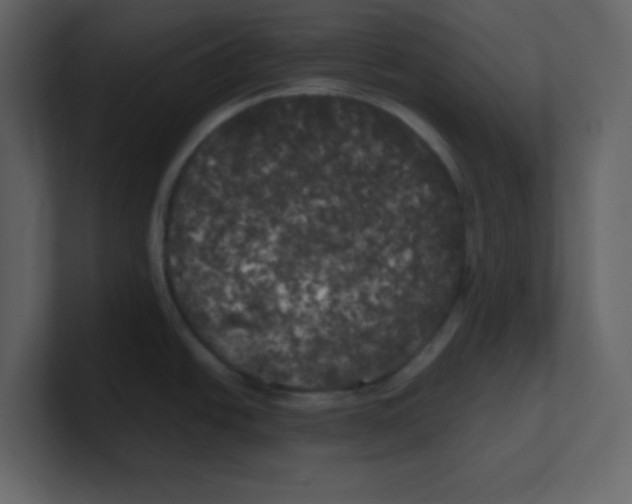 X0000100491438200807111113